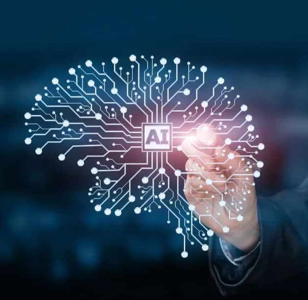 Páginas web optimizadas con inteligencia artificial en Puqueldón